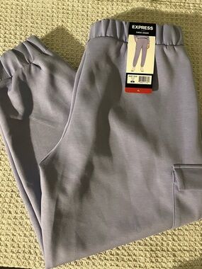 Express Lavender Cargo Jogger Pants